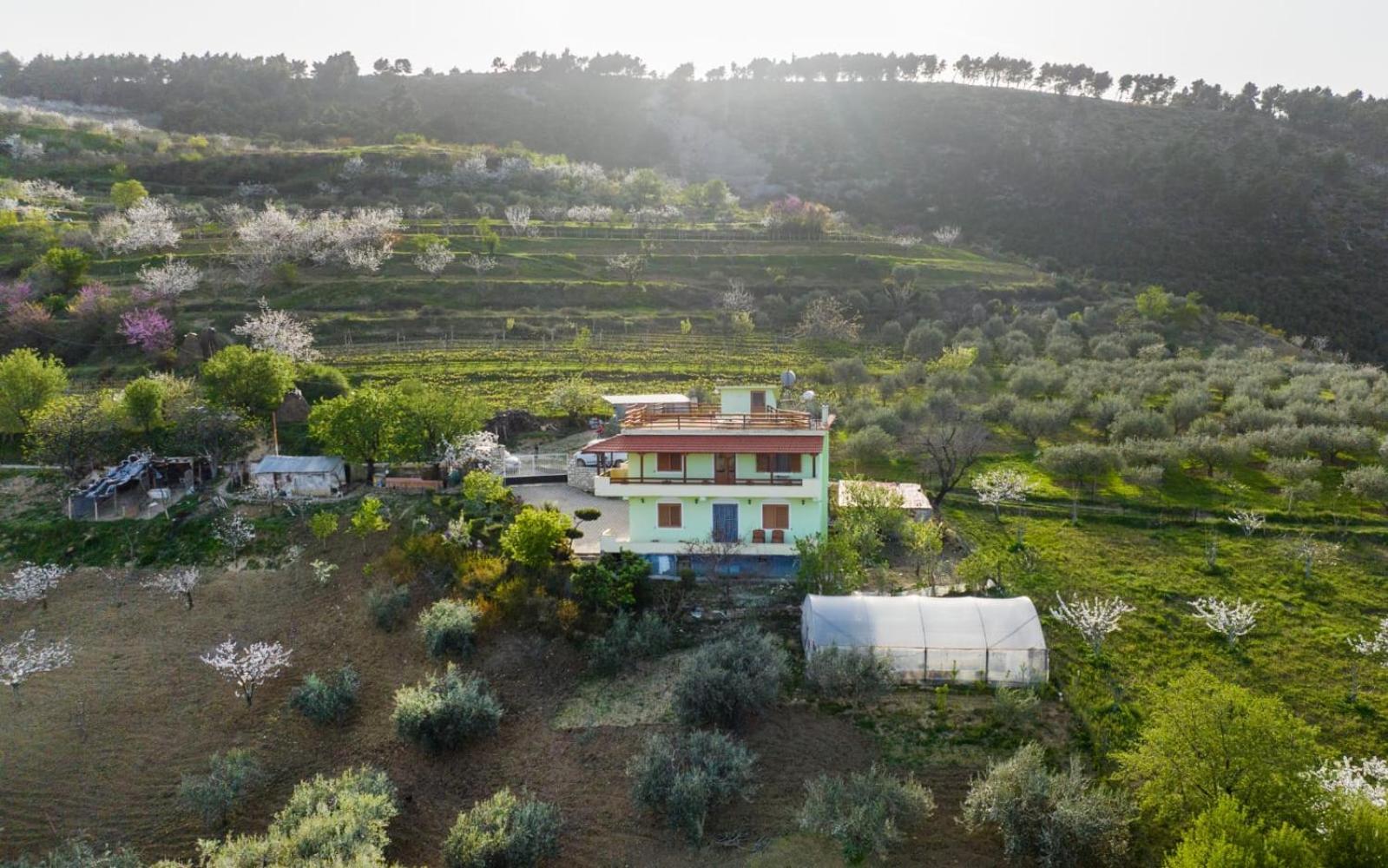 Vila Dean Berat Exterior foto